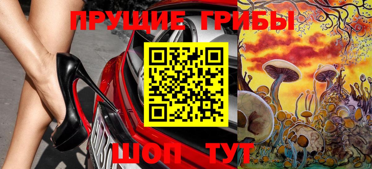 Советск  Псилоцибиновые грибы прущие грибы  Вход с VPN 
